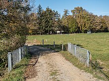 La Fille-Dieu-Brücke über die Glane, Romont FR 20211029-jag9889.jpg