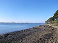 Pointe du Blair : côte ouest, grève.