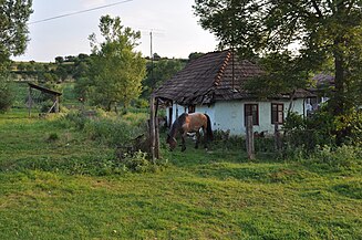 Împrejurimi