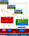 Windowing system, here Wayland