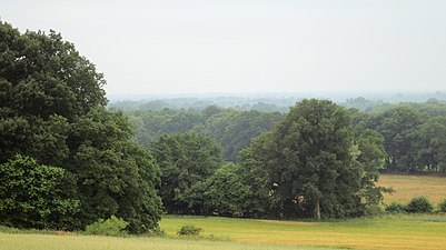 Blick vom Weyherberg