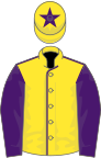 Yellow, purple seams, sleeves and star on cap