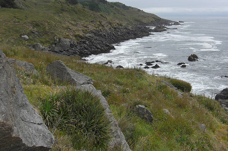 File:Coast near Tirua, Chile (3438829285).jpg