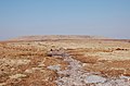 The summit plateau of Great Shunner Fell viewed from the south