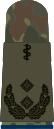 Oberfeld­arzt (hum. medicine)