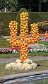 * Nomination Saguaro, pumpkin festival in the garden of Ludwigsburg Palace, Germany --Llez 04:50, 15 October 2024 (UTC) * Promotion  Support Good quality. --XRay 04:52, 15 October 2024 (UTC)