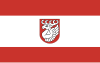 Flag of Świdnik County