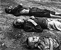 Image 40The Russian famine of 1921–22 killed an estimated 5 million people. (from History of the Soviet Union)