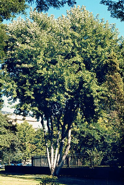 File:Madrid, Plaza de la Lealtad 1975.jpg