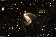 NGC 2442 DSS.jpg