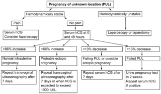 Algorithm in pregnancy of unknown location