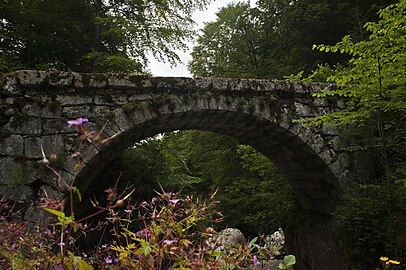 Pont du Martinet ou de la Forge.