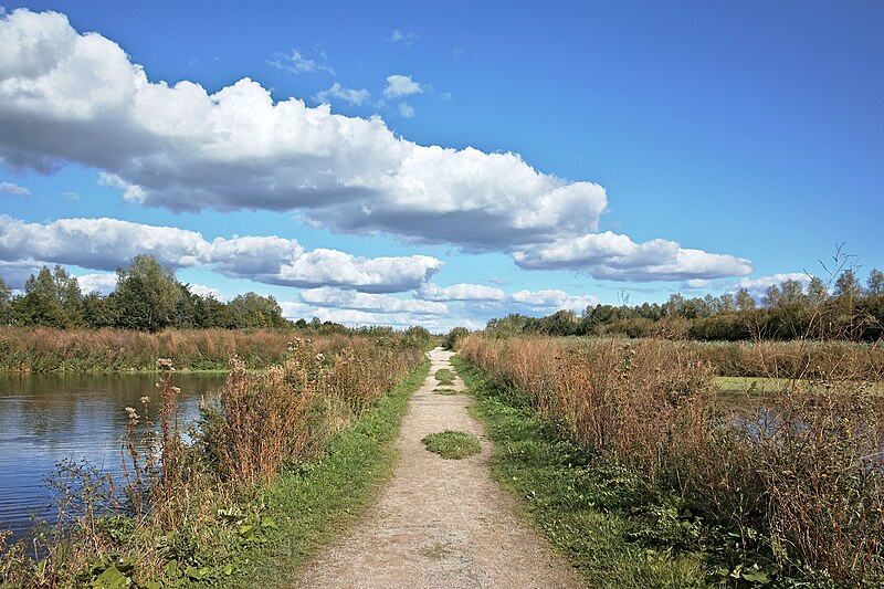 File:Leers bassins filtrants chemin.jpg