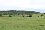 Thumbnail for File:Pasture between Kloster and Grieben on Hiddensee 2021-09-17 23.jpg