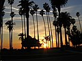 Sunset in Santa Monica, California