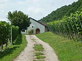 Baierweinmuseum in Bach an der Donau