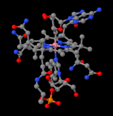 Image illustrative de l’article Vitamine B12