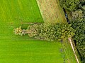 * Nomination Row of trees in Neusträßer Bruch in the Börnste hamlet in Kirchspiel, Dülmen, North Rhine-Westphalia, Germany --XRay 05:24, 28 October 2024 (UTC) * Promotion  Support Good quality. --Johann Jaritz 05:56, 28 October 2024 (UTC)