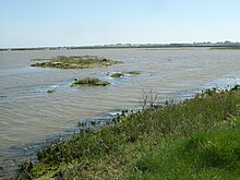 Hazlewood Marshes