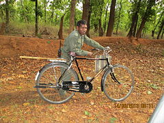 Un guardabosques indio patrullando con su bicicleta en el bosque de Bandhavgarh al norte del país.