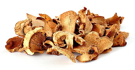 dried mushrooms