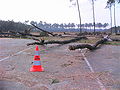 Tempête Klaus sur une aire d'autoroute de l'A63 en 2009, dép. 40