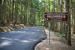 Vallombrosa – Veduta