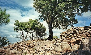 Barri de l'oppidum de la Fortalesa