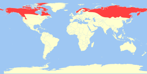 Descripcion d'l'imatge Gulo gulo distribution.svg.