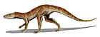 Hesperosuchus agilis