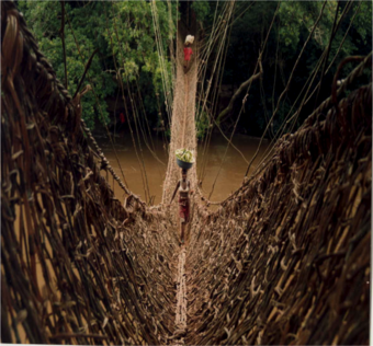 Le Pont de lianes sur le Diani.png