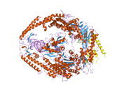 2o8f: human MutSalpha (MSH2/MSH6) bound to DNA with a single base T insert