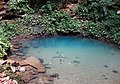 The cenote in St. Herman's Blue Hole National Park