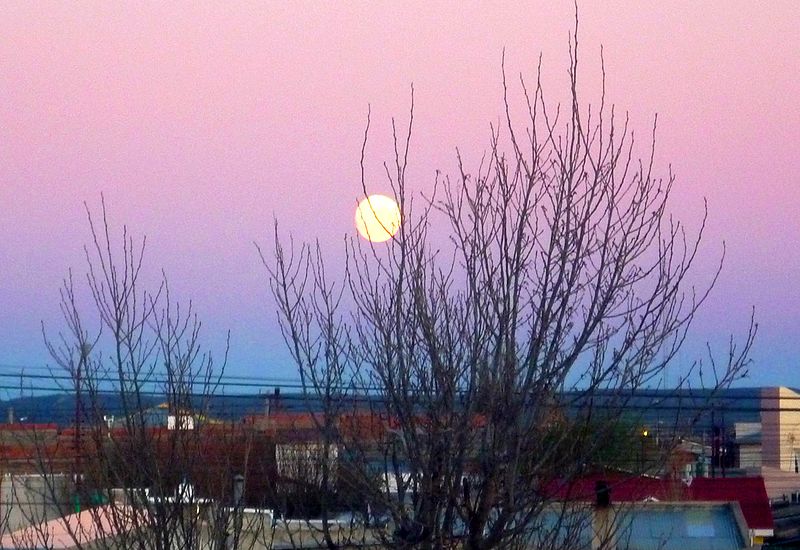 File:Amanecer en Río Gallegos (2009 10) - panoramio.jpg