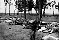 Caption from the book: "THOSE WHO FELL BY THE WAYSIDE. Scenes like this were common all over the Armenian provinces, in the spring and summer months of 1915. Death in its several forms—massacre, starvation, exhaustion—destroyed the larger part of the refugees. The Turkish policy was that of extermination under the guise of deportation"