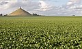 Monumento a la batalla de Waterloo