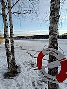 Ume river during winter time.jpg