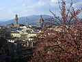 View from Giardino Bardini with Duomo and Palazzo Vecchio