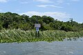 Manatee Sign in Harris Lake, Leesburg, Florida