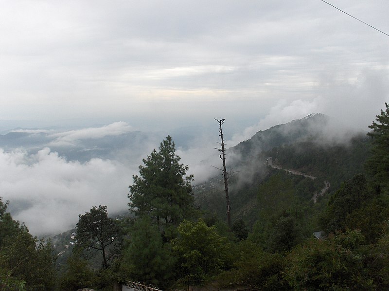 File:Above the clouds in Murree near Lawrence College.JPG