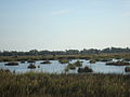 Paraje Natural del Prat de Cabanes-Torreblanca