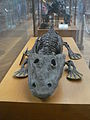 Squelette d'un Eryops megacephalus au Muséum de Paris.