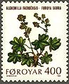 FR 46: Føroya Skøra (Alchimella faeroensis) - Faroese Lady Mantle