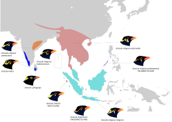 Diverseco kaj distribuado en la genro