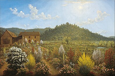 A view of the artist's house and garden, in Mills Plains, Van Diemen's Land, 1835, Art Gallery of South Australia