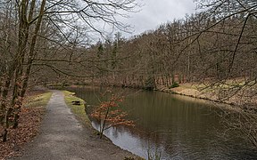 Lac du château.