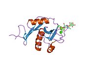 1sl5: Estrutura cristalina do dominio de recoñecemento de carbohidratos DC-SIGN en complexo con LNFP III (Dextra L504).