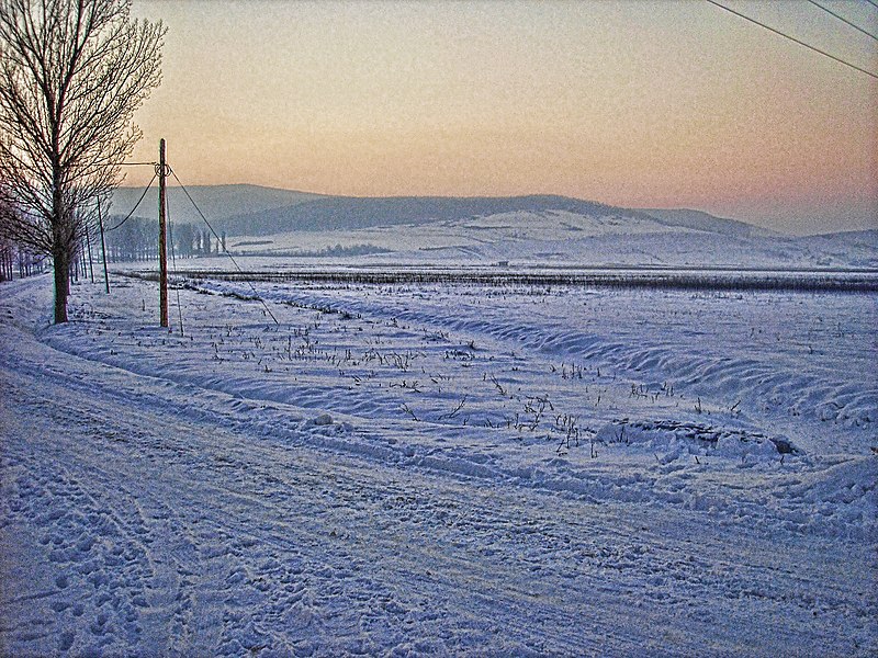 File:Spre padure (sat cioatele) - panoramio.jpg