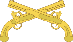 Branch Insignia