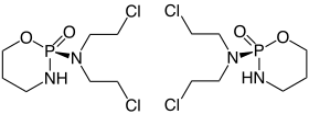 Image illustrative de l’article Cyclophosphamide